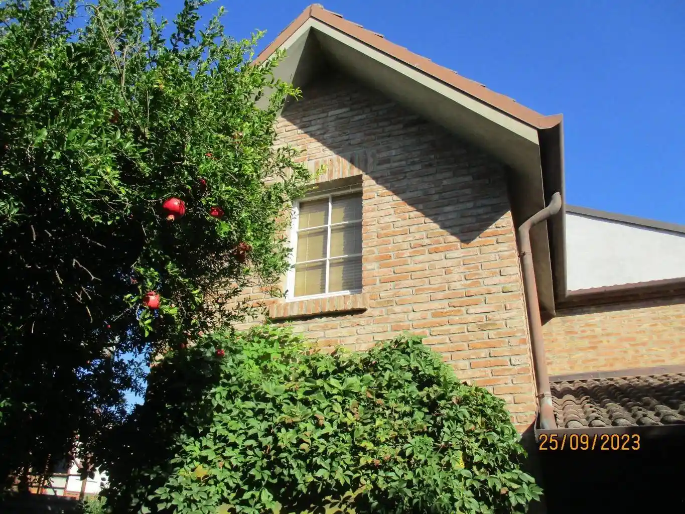 Casa indipendente in vendita a Ostellato