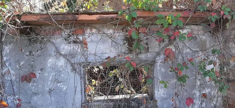 Rustico - Casale in vendita a Piacenza