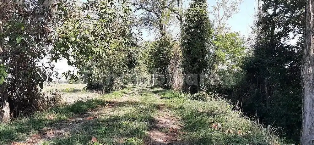 Rustico, da ristrutturare, 360 m², Vallera, Piacenza - foto 5