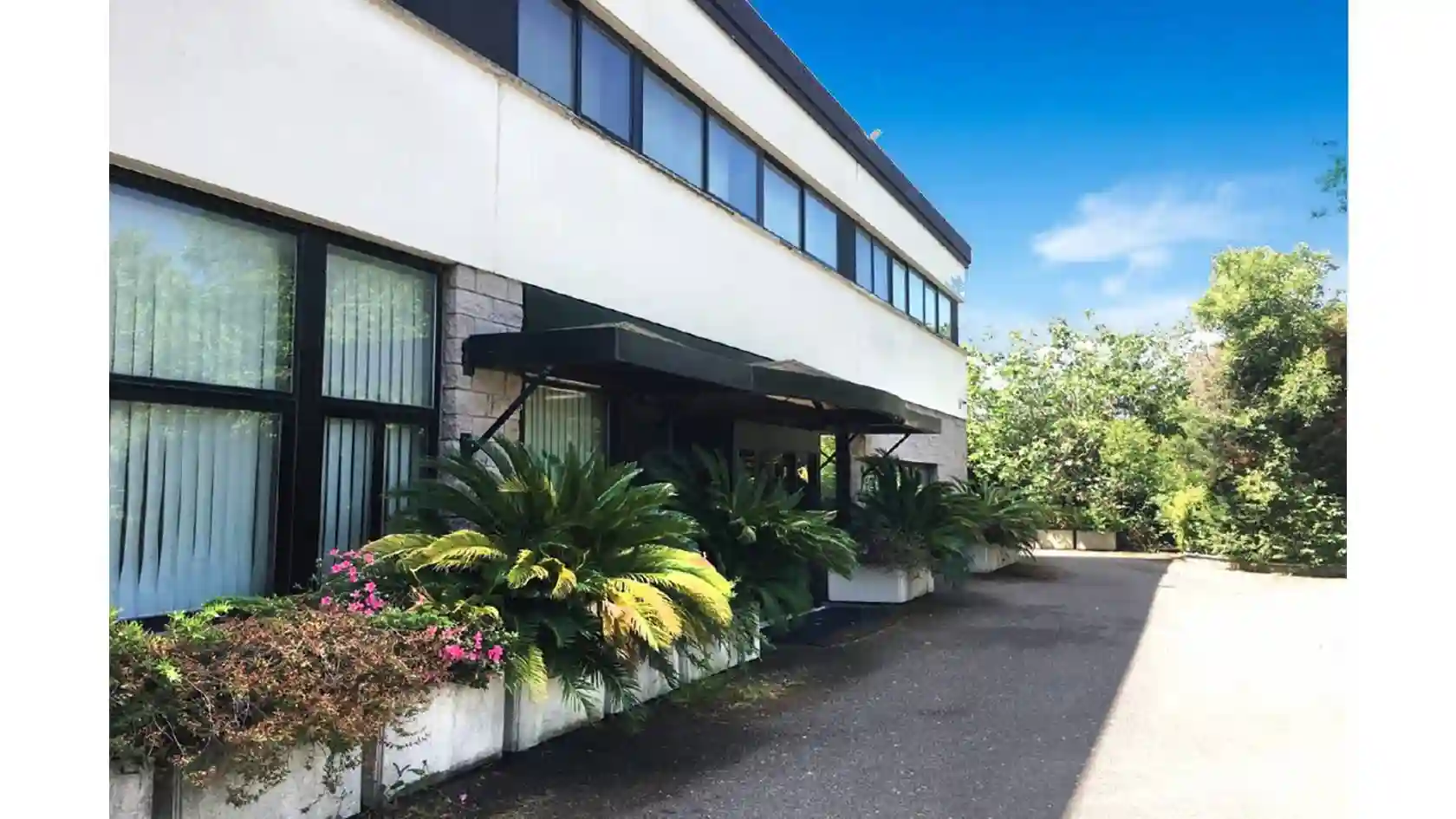 Palazzo - Edificio - foto 4