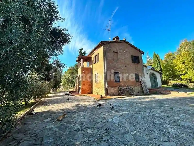 Rustico - Casale - foto 2