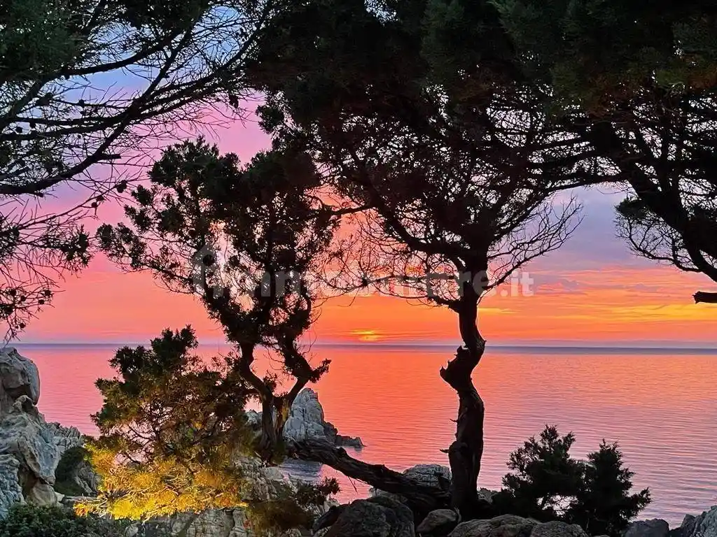 Villa in vendita a Trinità d'Agultu e Vignola