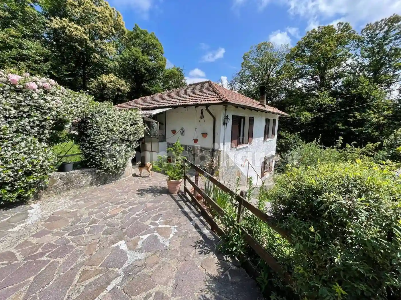 Rustico - Casale - foto 4