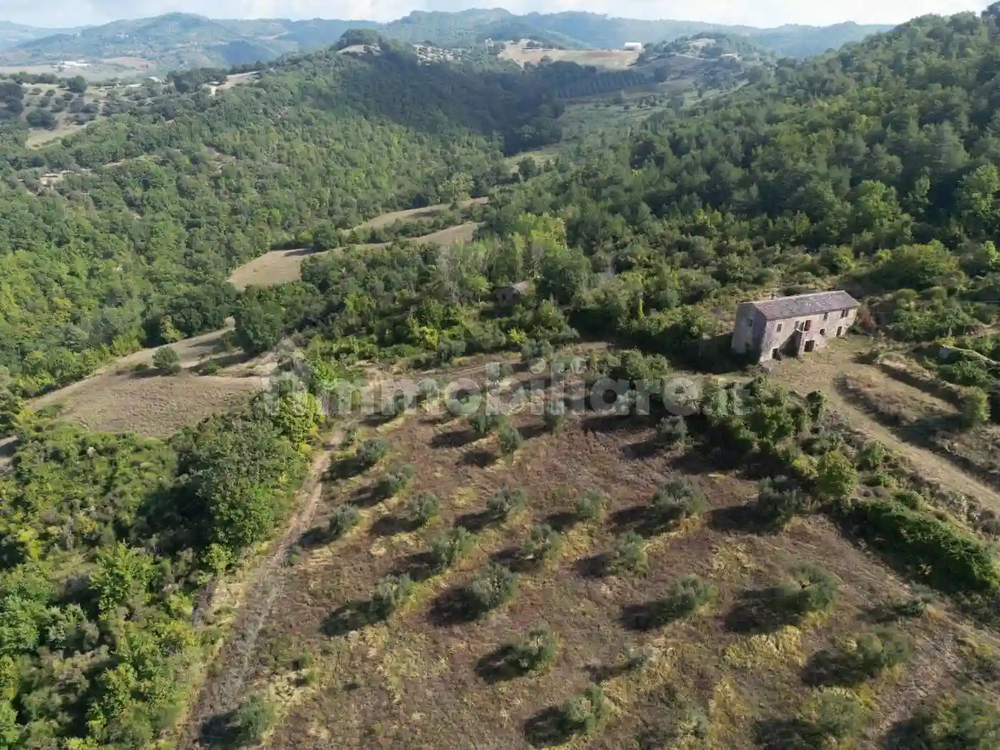 Rustico - Casale - foto 2