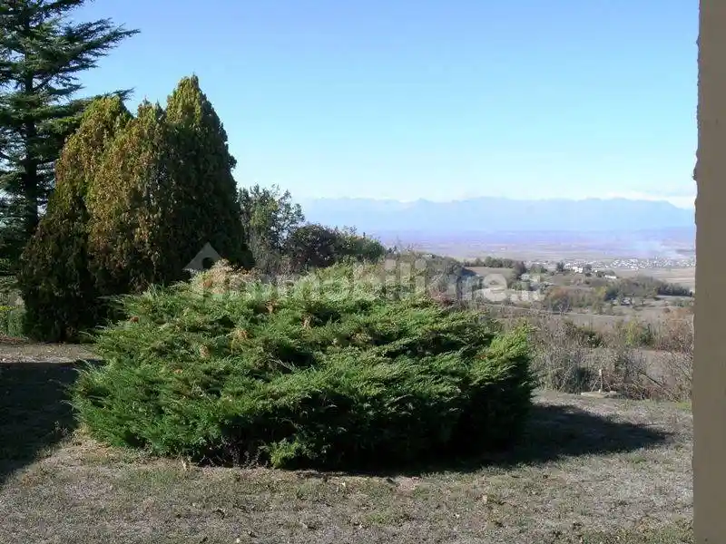 Villa unifamiliare Strada Cantavenna 11, Camino - foto 4