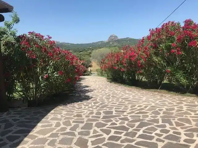 Villa unifamiliare via Stazzi Spridda, San Giovanni, Sole Ruiu, Olbia - foto 3
