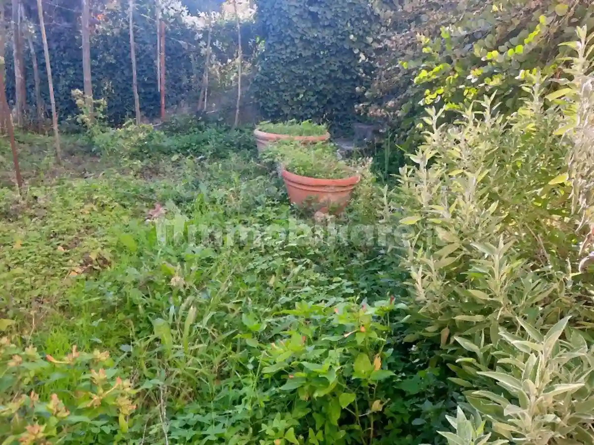 Palazzo - Edificio - foto 3