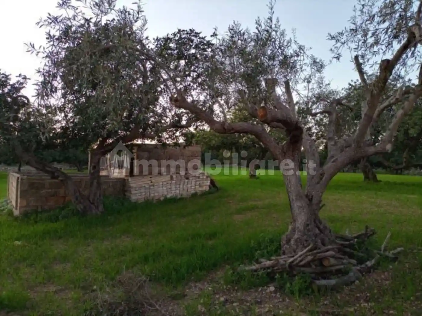 Villa in vendita a Scicli