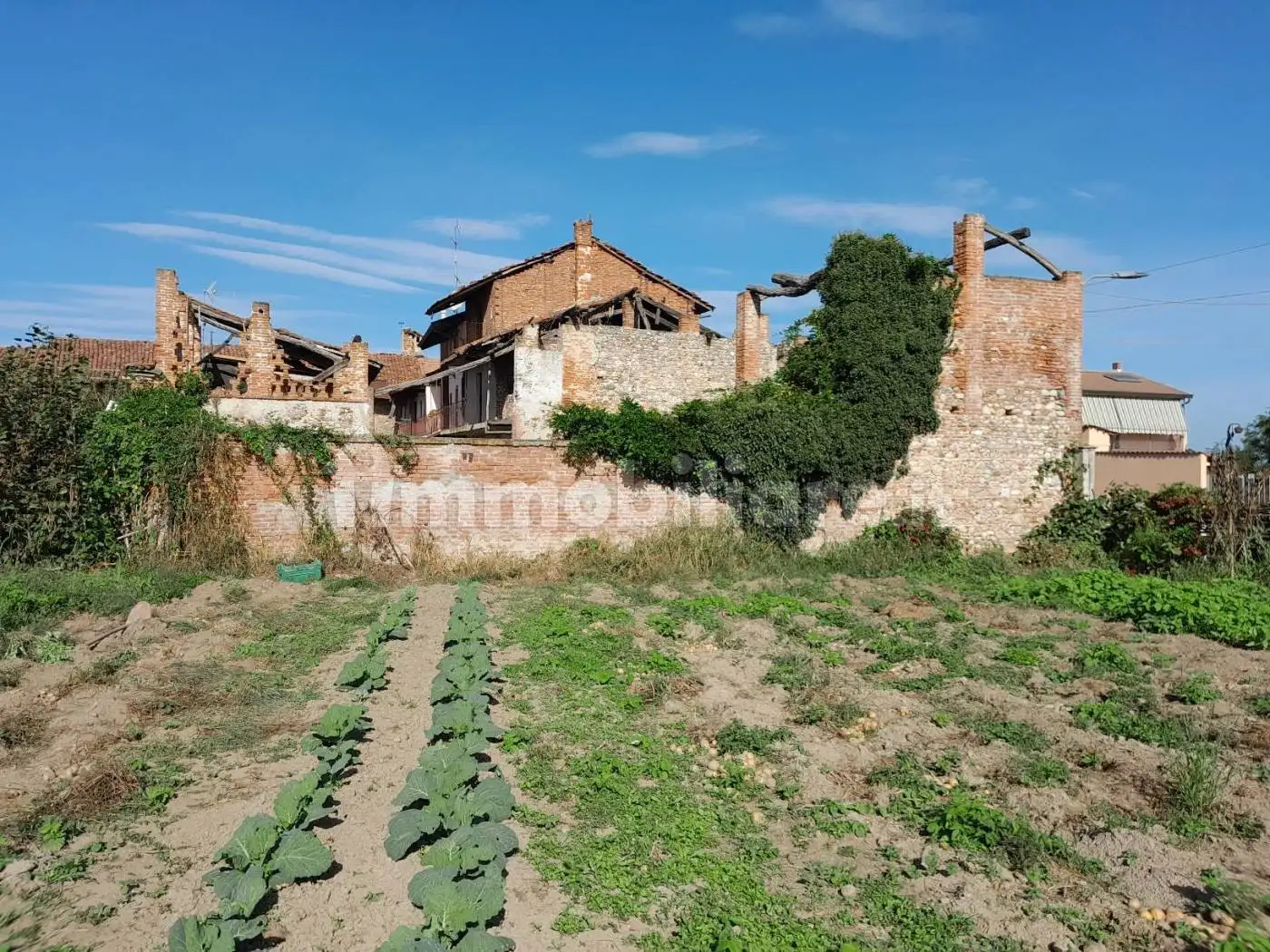 Rustico - Casale in vendita a Mandello Vitta