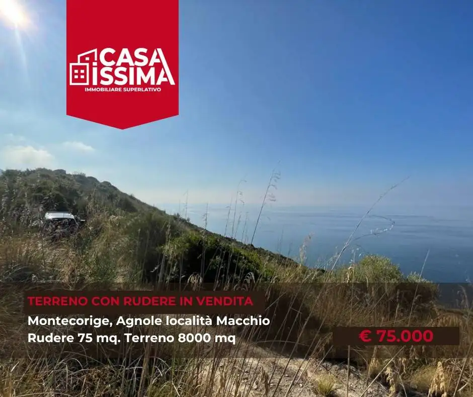 Rustico - Casale in vendita a Montecorice