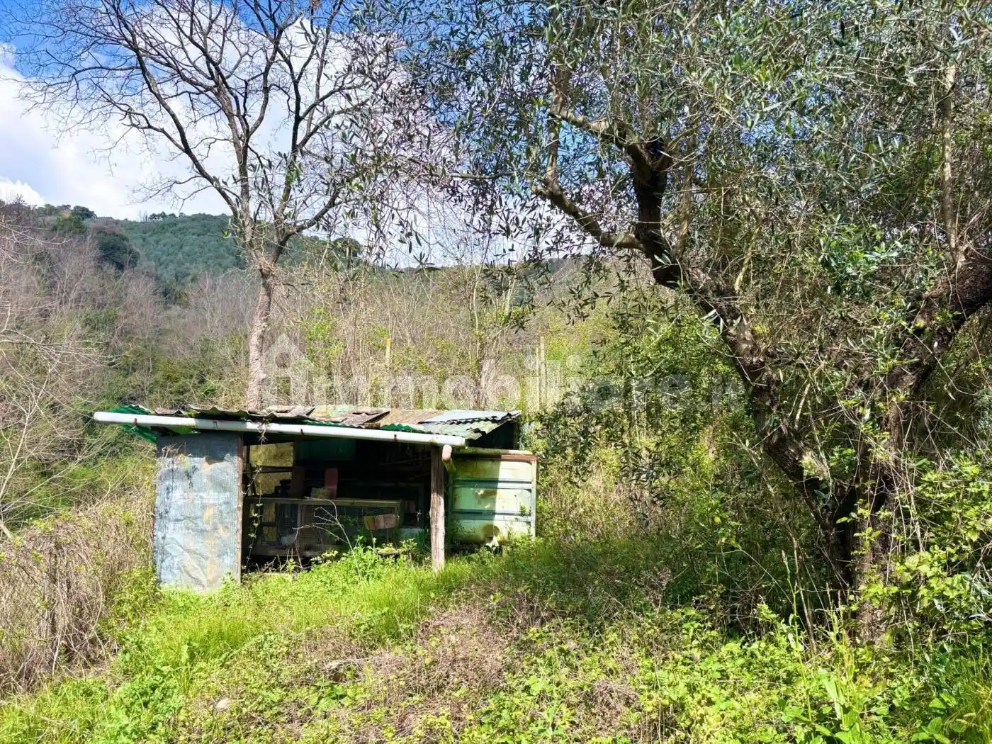 Rustico via della Fonte, Balbano, Lucca - foto 4