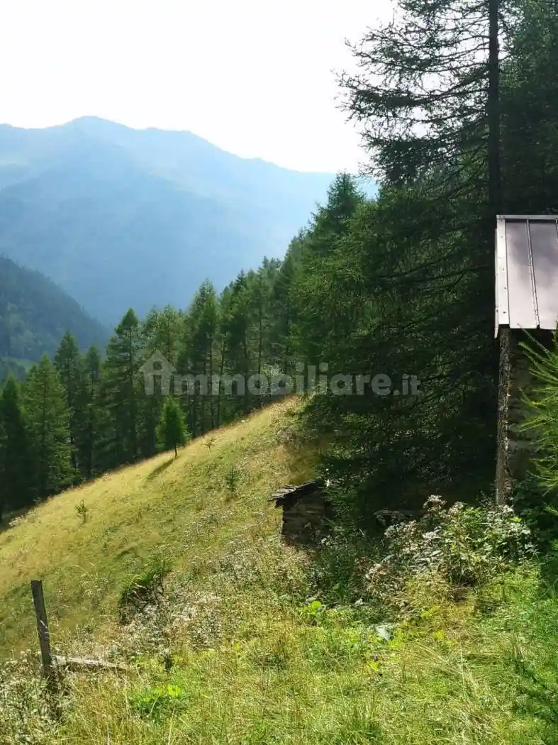 Rustico - Casale in vendita a Ponte di Legno