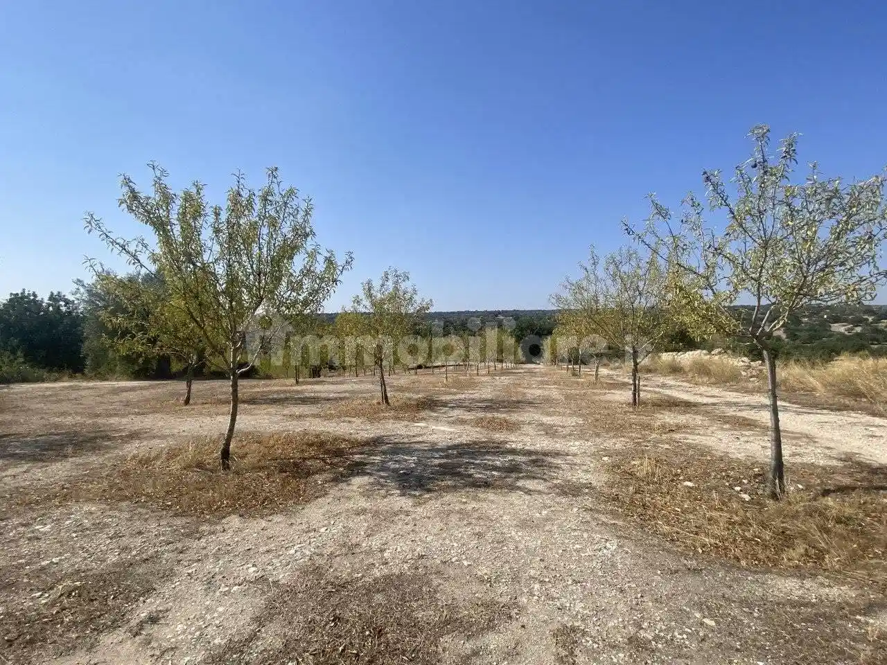 Rustico - Casale in vendita a Noto