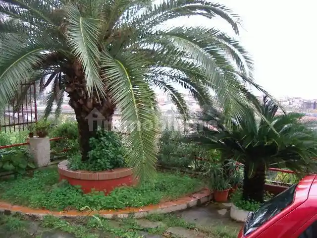 Villa unifamiliare via Longobardi traversa 1, Vibo Marina, Vibo Valentia - foto 3