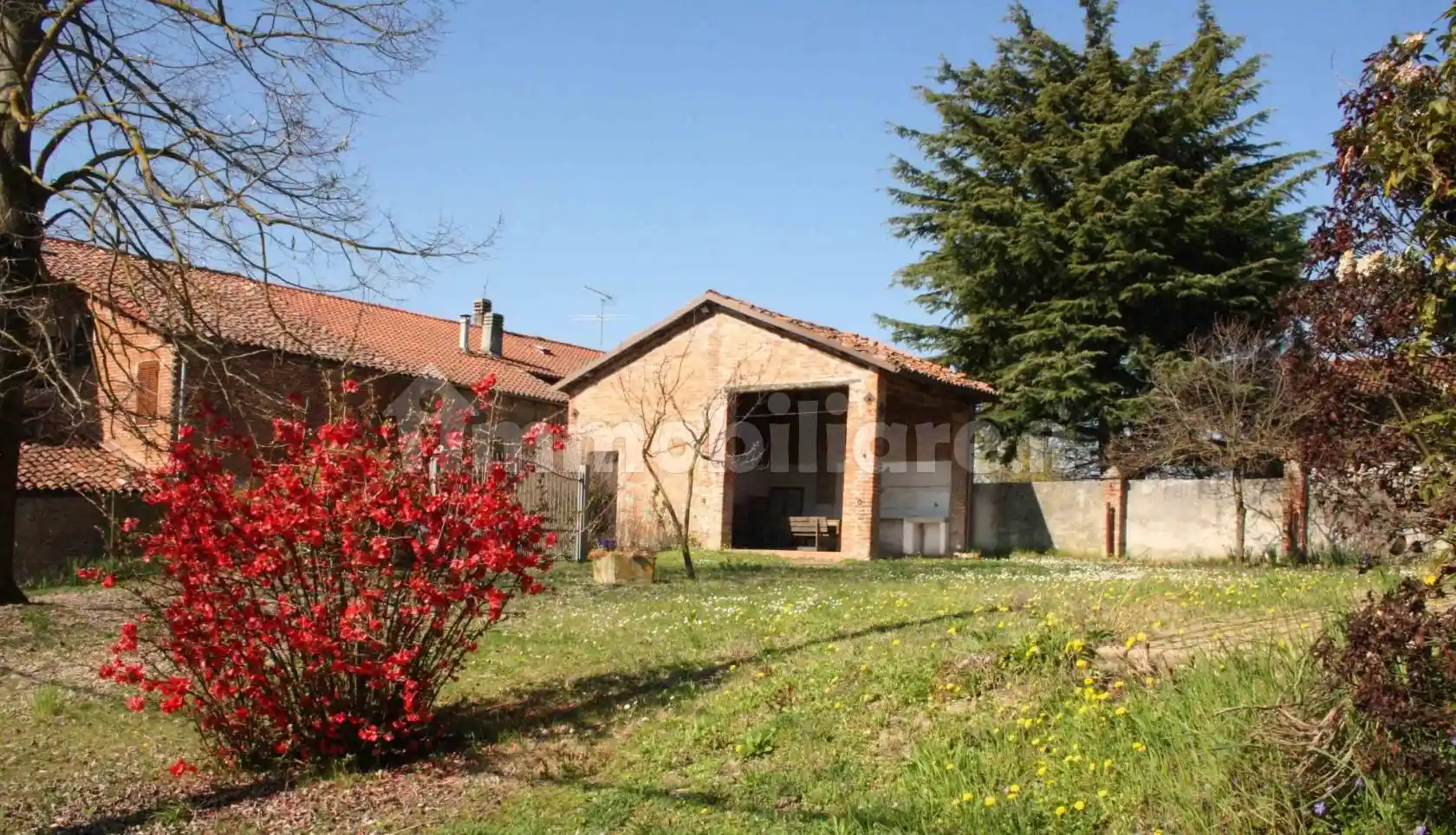 Rustico - Casale - foto 3