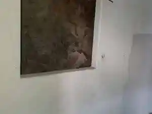 Villa in vendita a Pieve di Cadore