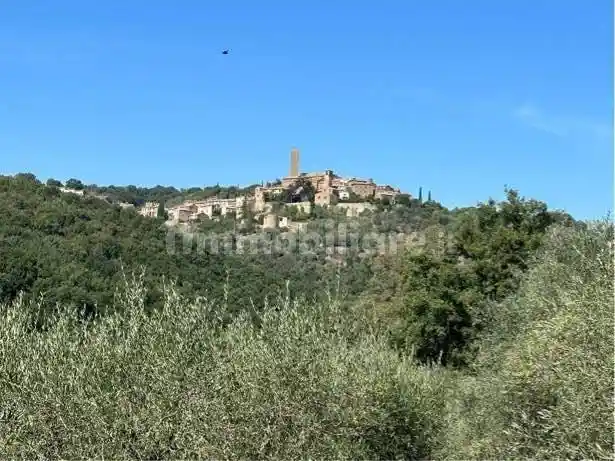Appartamento in vendita a Magliano in Toscana