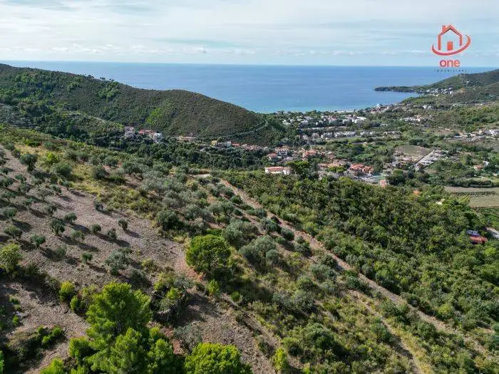 Rustico - Casale in vendita a Montecorice
