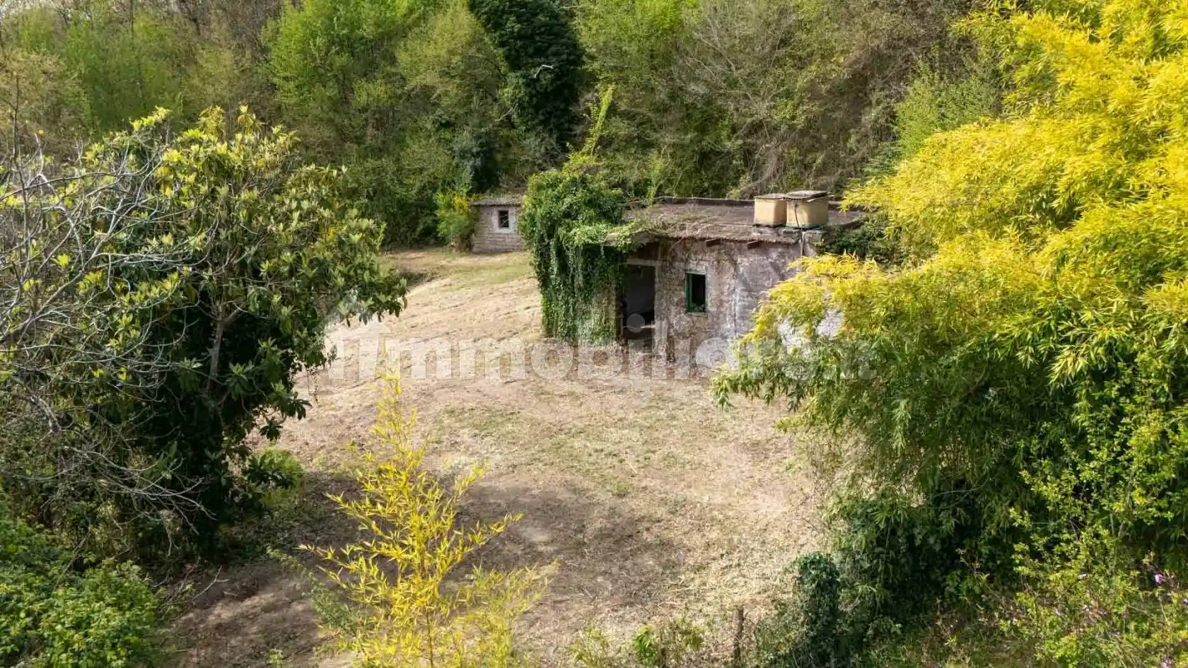 Rustico - Casale in vendita a Nazzano