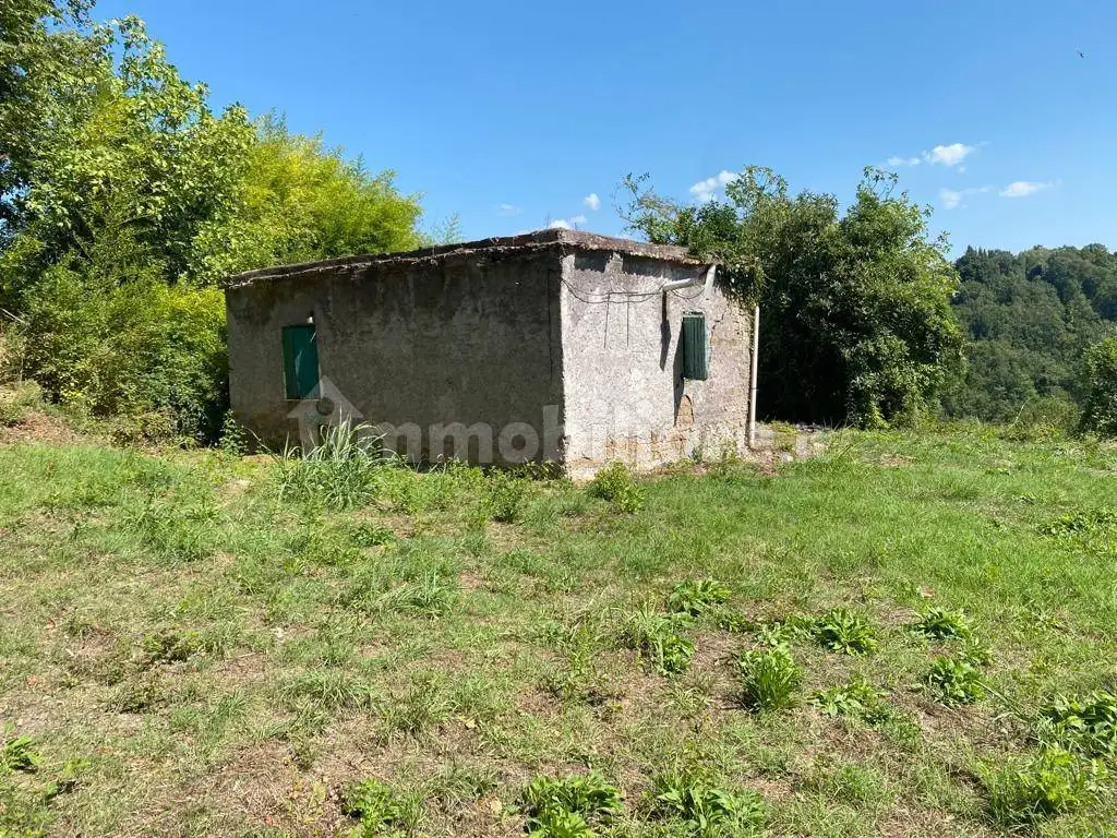 Rustico - Casale in vendita a Nazzano