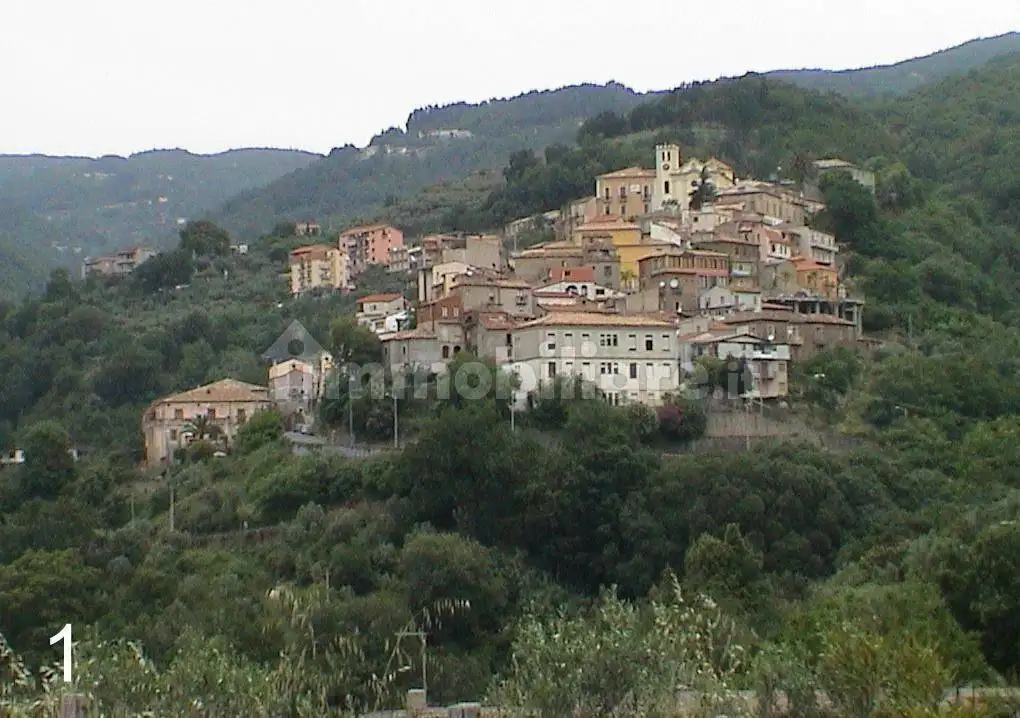 Villa in vendita a Feroleto Antico