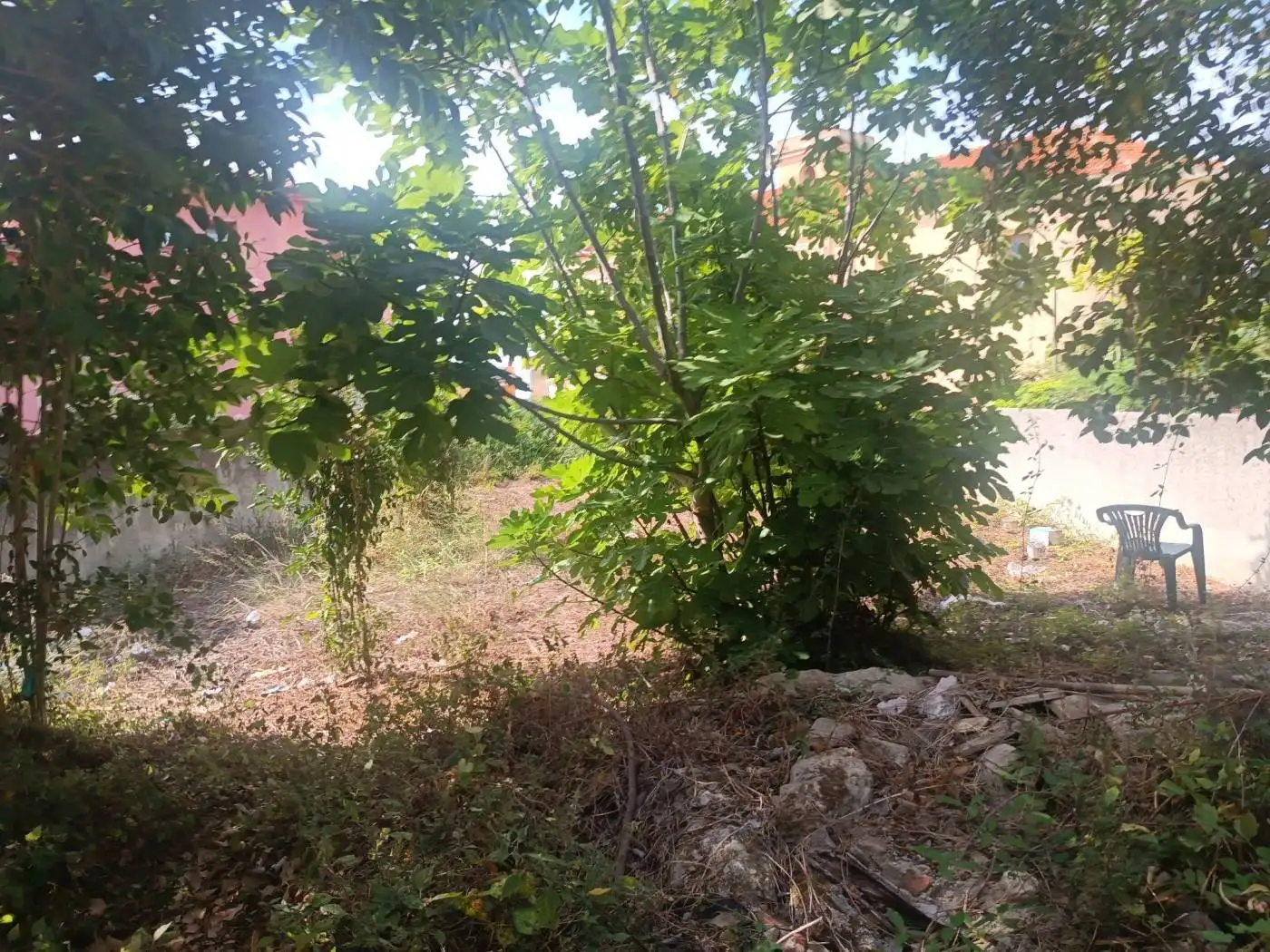 Rustico - Casale in vendita a Ricadi