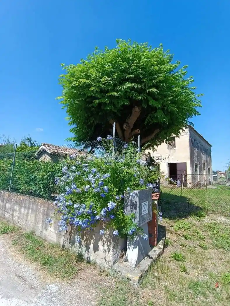 Rustico - Casale in vendita a Mondolfo