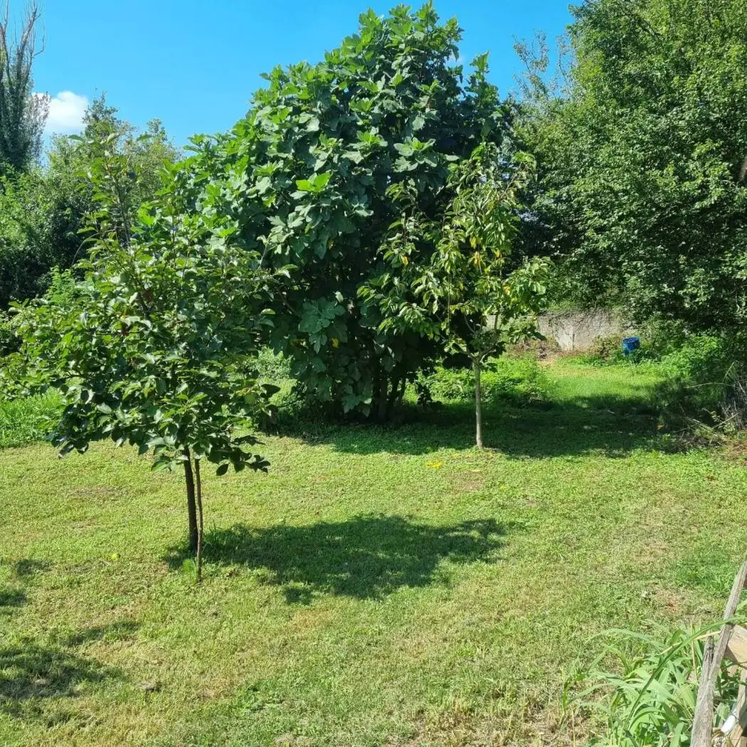 Rustico, buono stato, 280 m², Centro, Casaletto Ceredano - foto 2