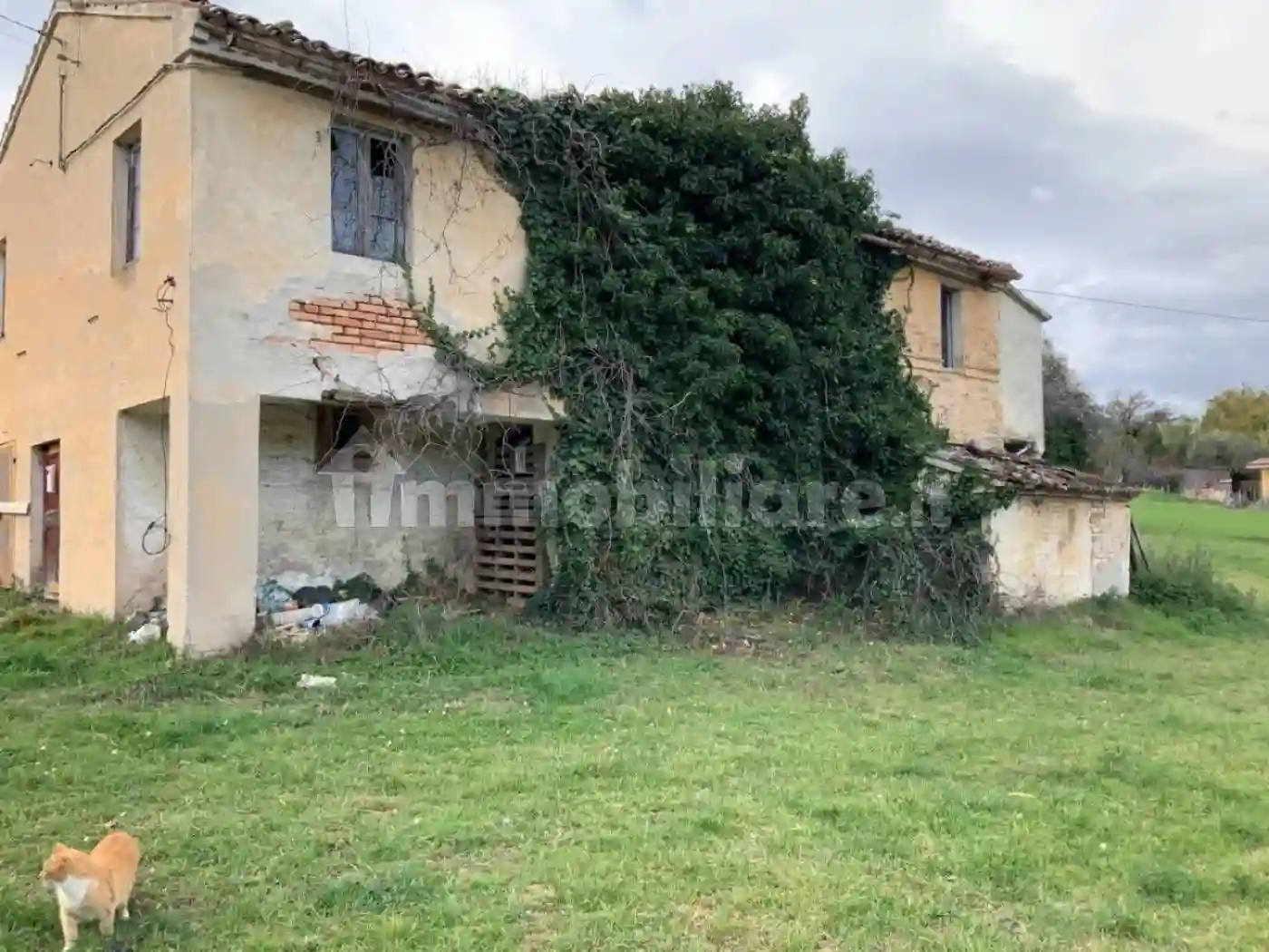 Rustico - Casale - foto 3