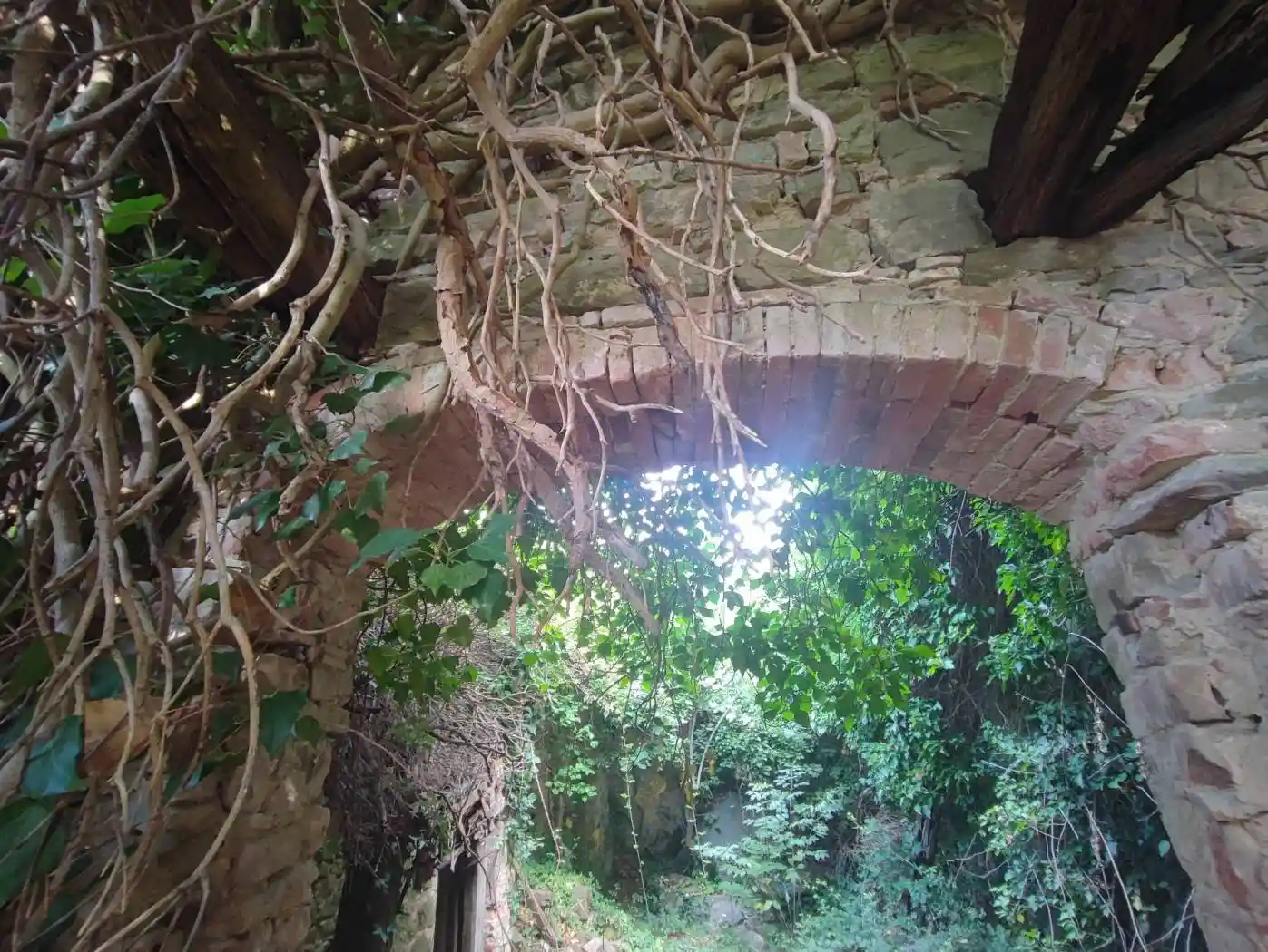 Rustico - Casale in vendita a Greve in Chianti