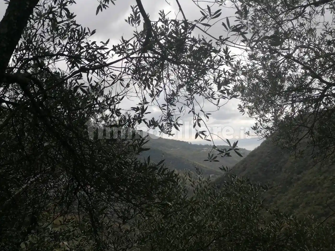 Rustico - Casale in vendita a Sori