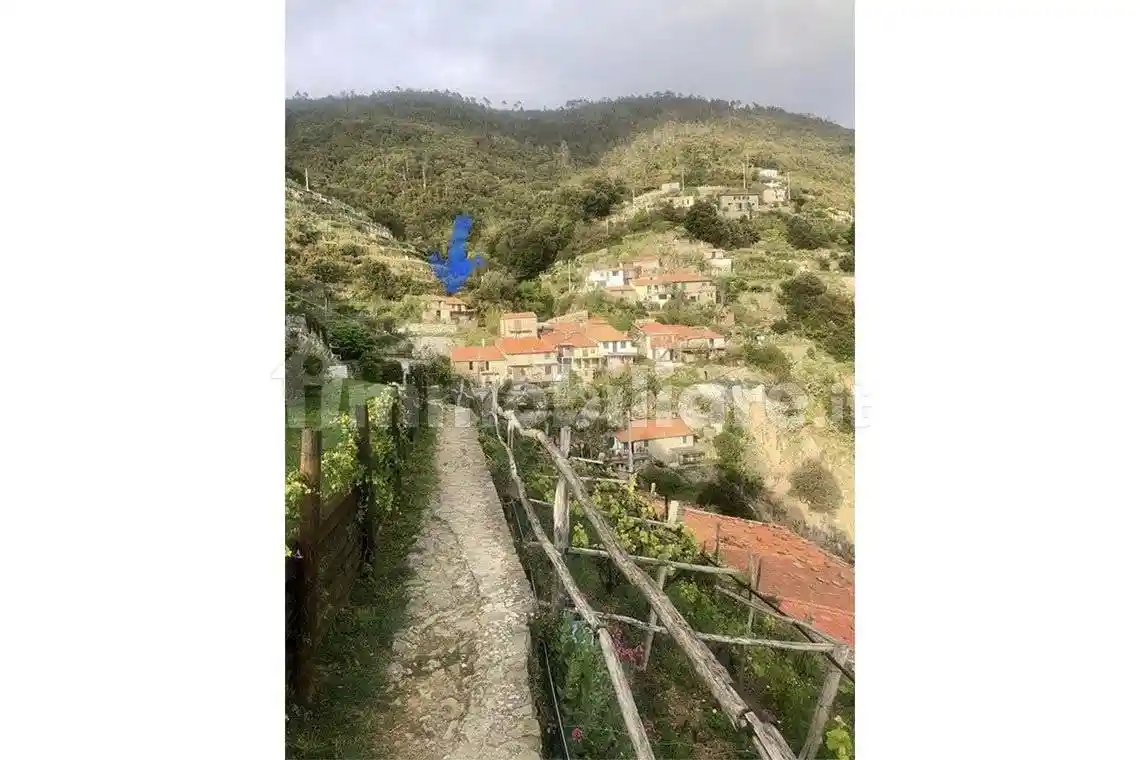 Cascina Casotti, Biassa, La Spezia - foto 2