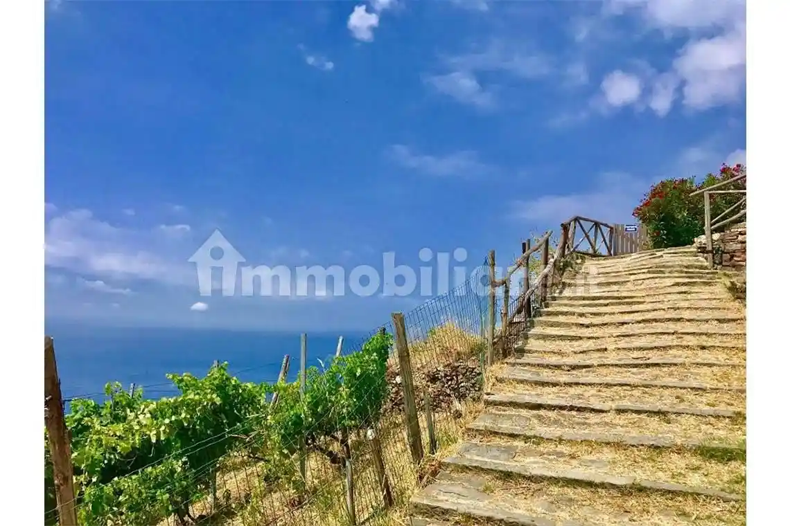 Cascina Casotti, Biassa, La Spezia - foto 3