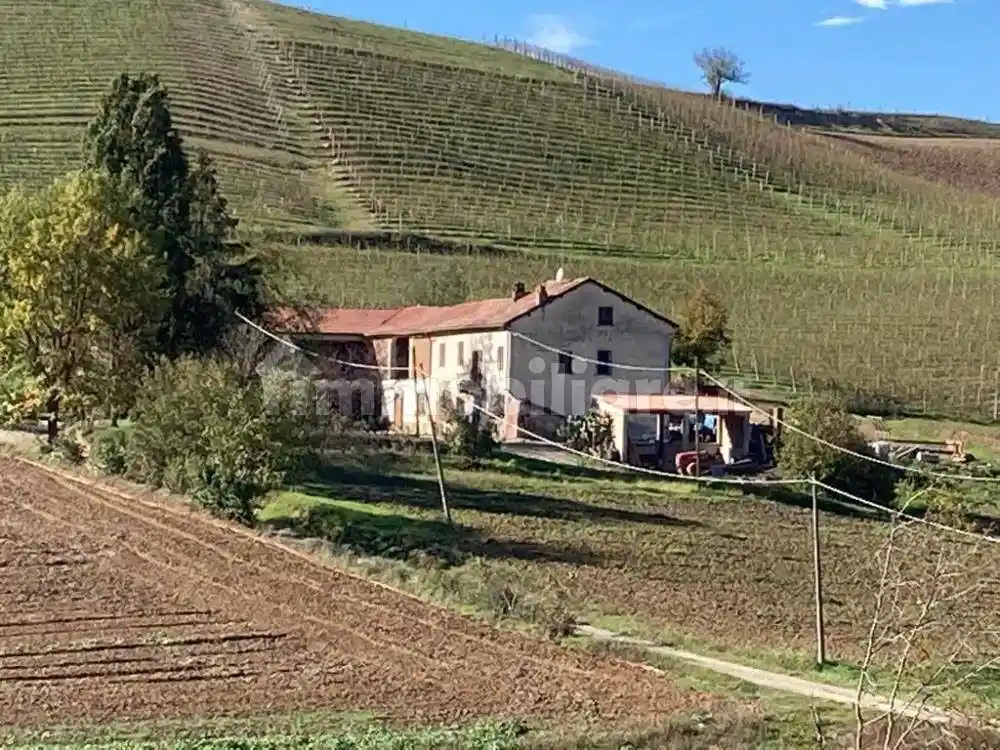 Rustico - Casale in vendita a Penango