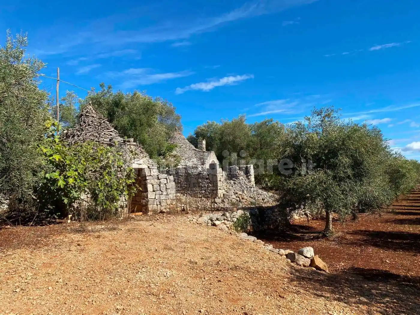 Rustico - Casale in vendita a Ceglie Messapica