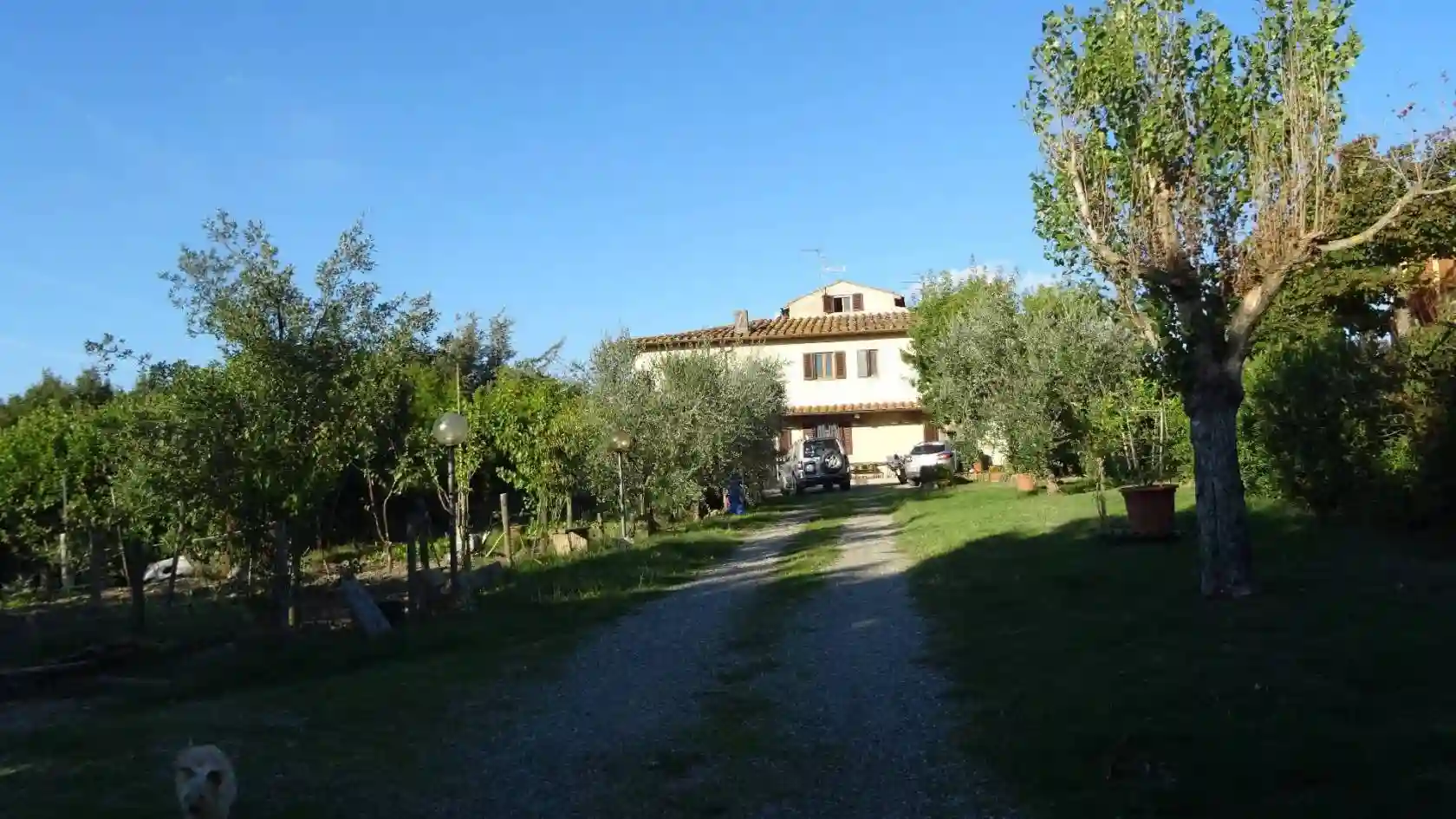 Rustico - Casale - foto 4