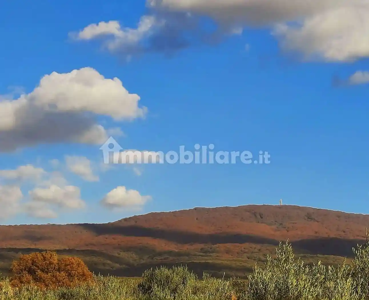 Villa in vendita a Vetralla