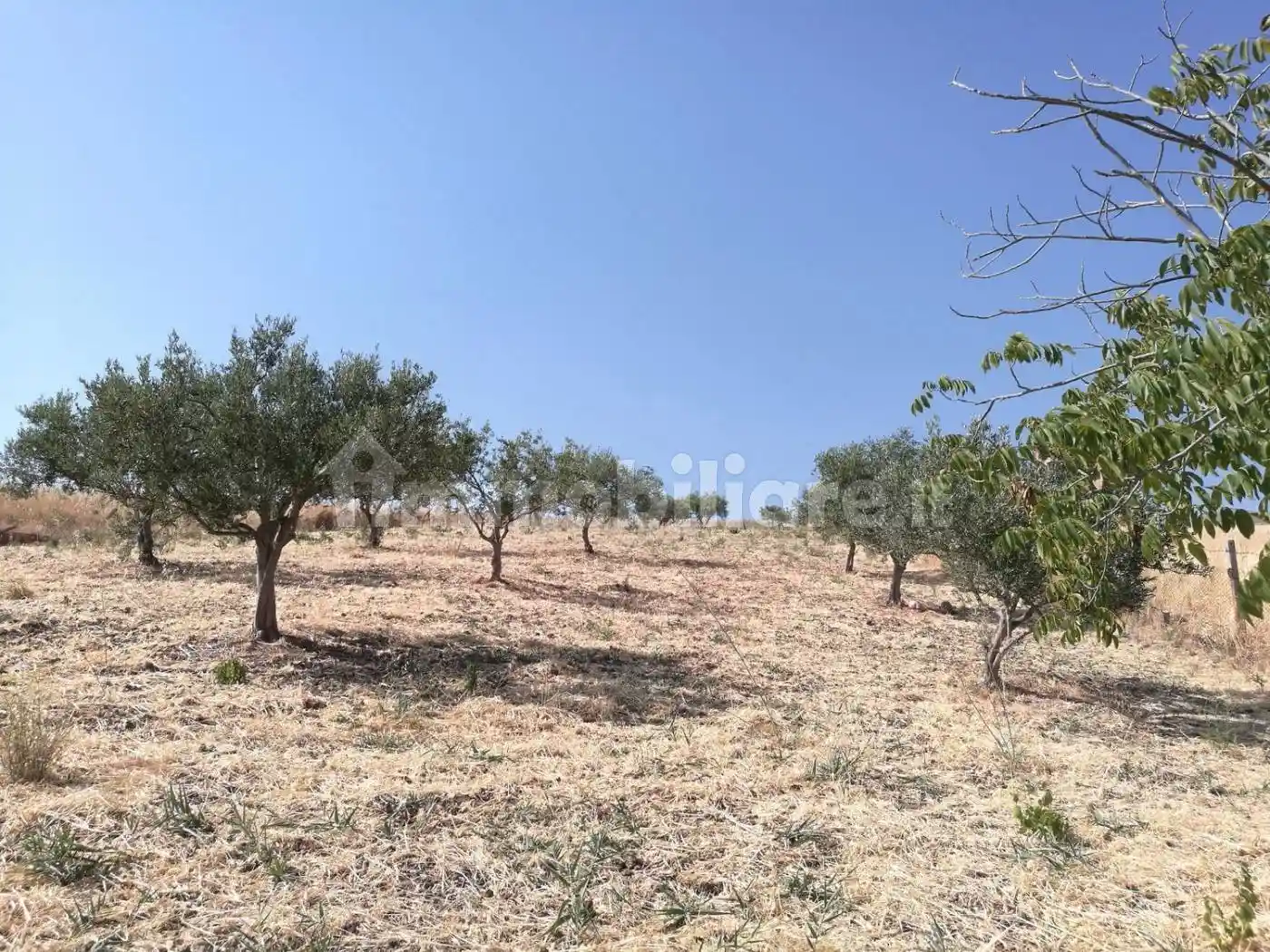 Rustico SS120 San c, Castellana Sicula - foto 3