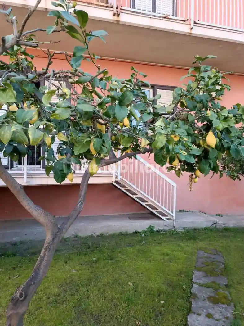 Appartamento via Cristoforo Colombo 124, Bianco - foto 4