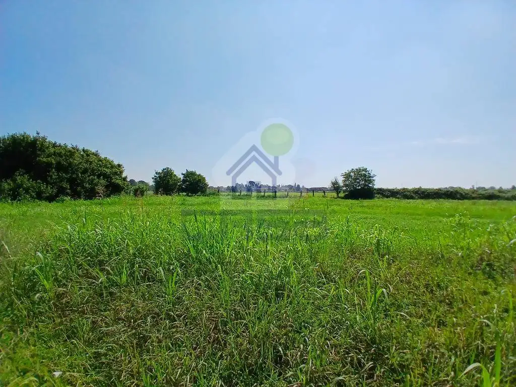 Cascina via Torre angiolini 49, Centro, Torre de' Picenardi - foto 3