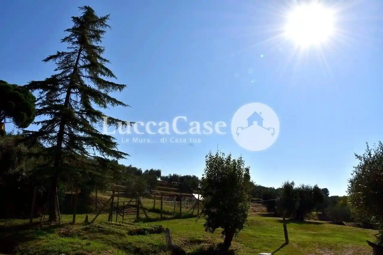 Rustico - Casale in vendita a Montecarlo