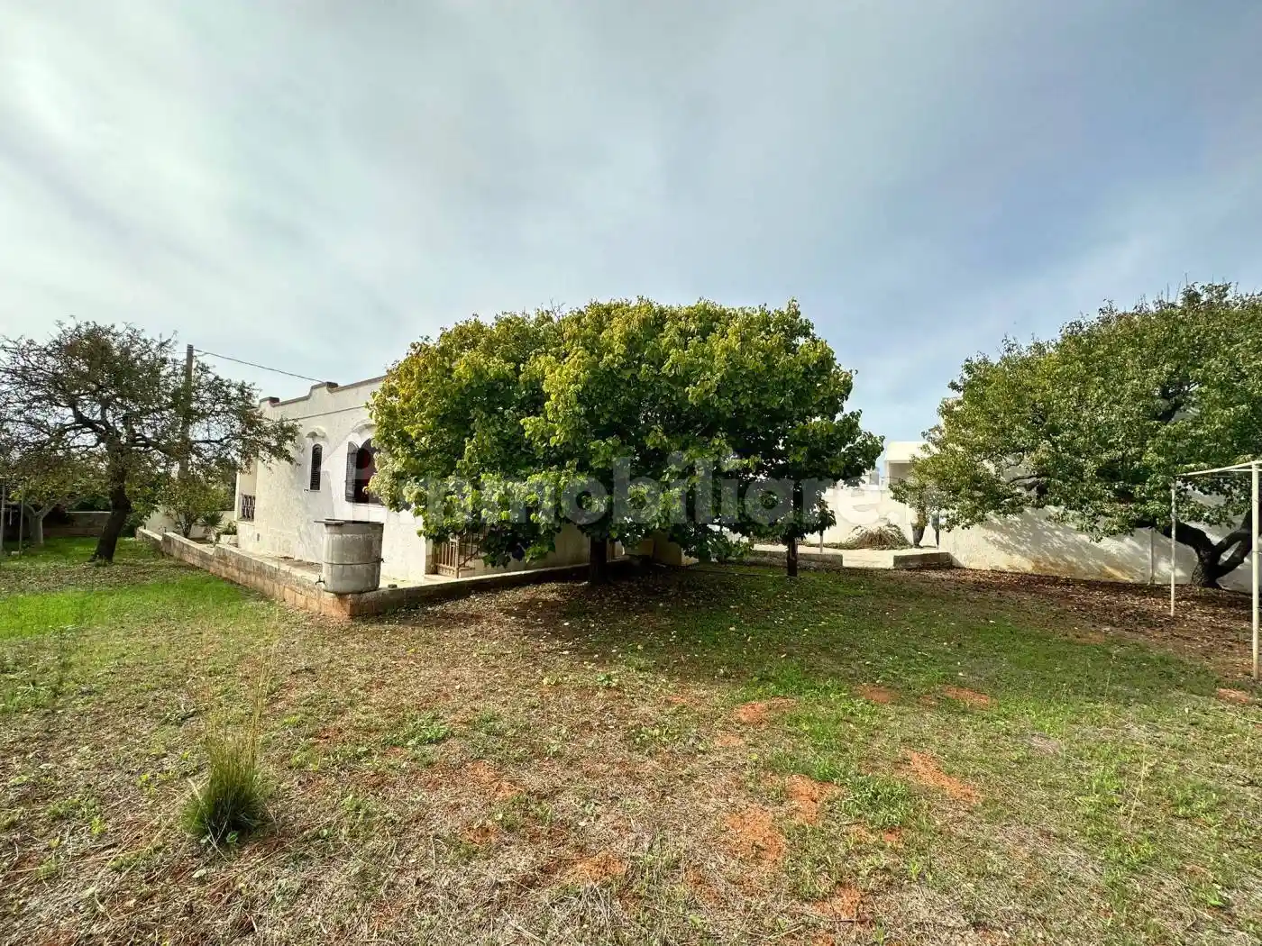 Villa in vendita a Salve