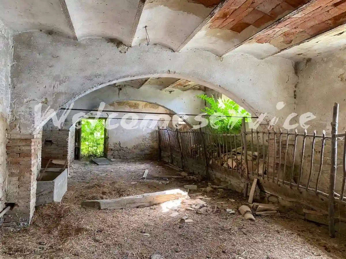 Rustico - Casale - foto 5