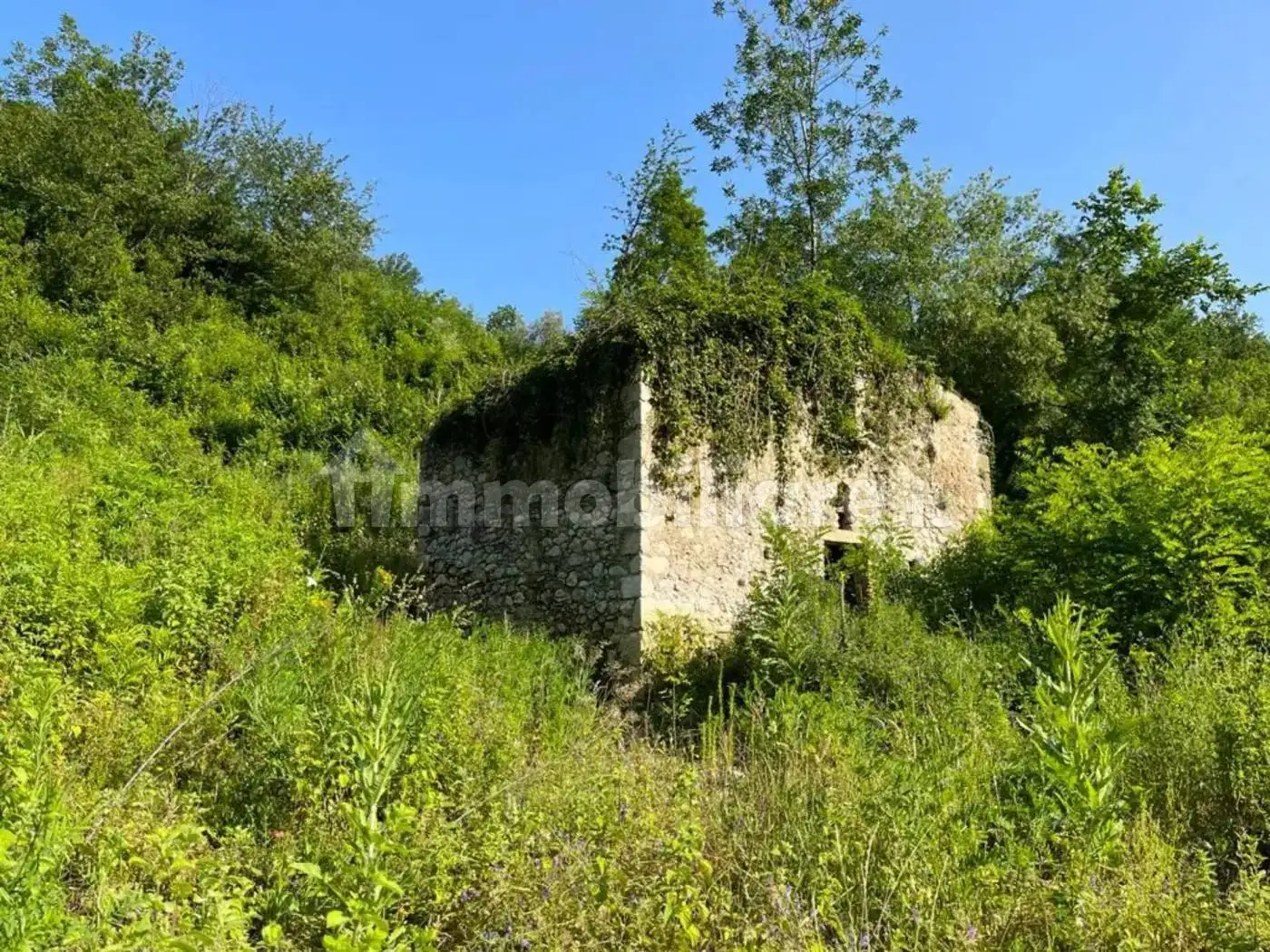 Casale Strada Mulino Mattucci, Castelli - foto 4