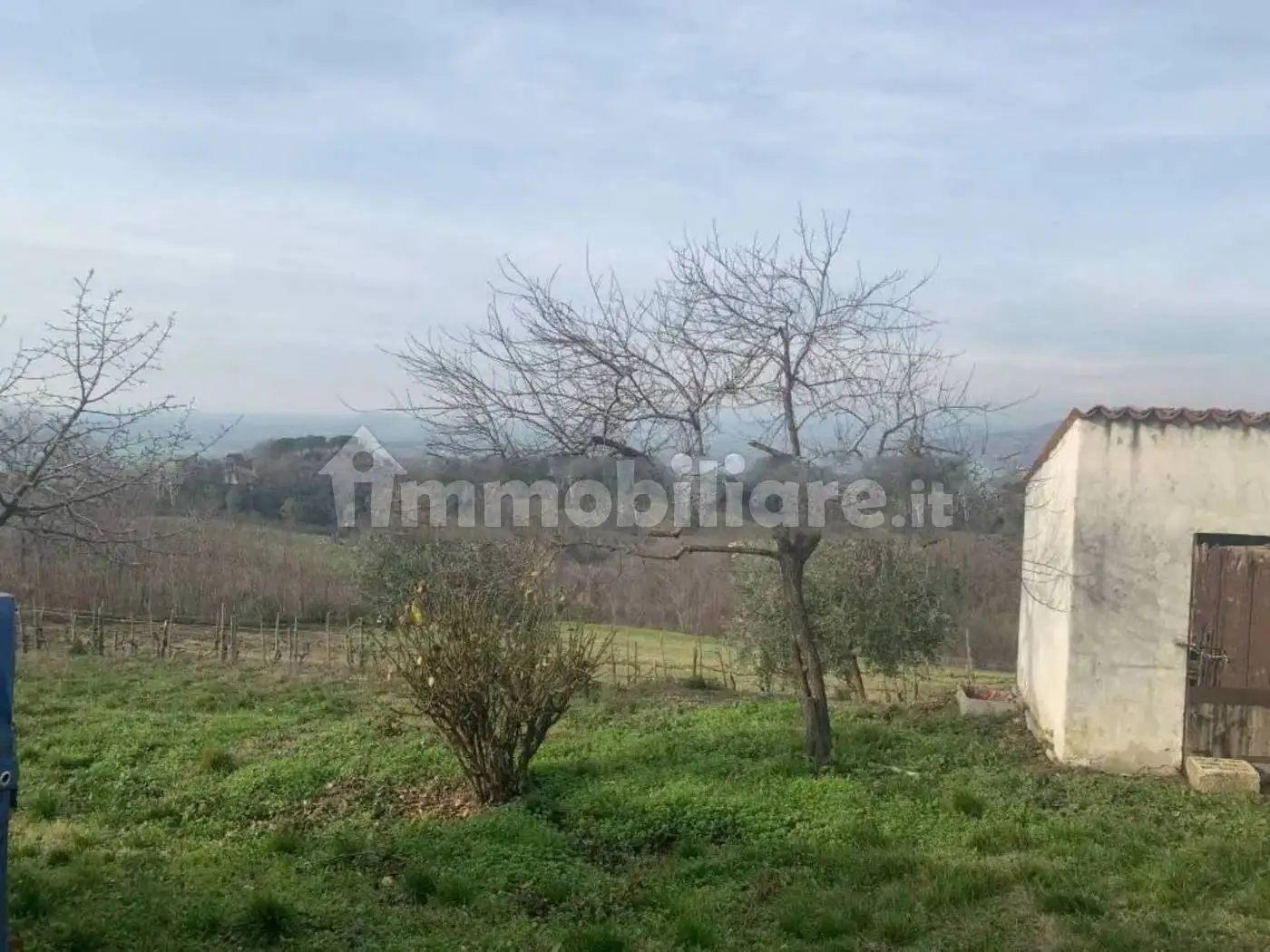 Casa indipendente in vendita a Este