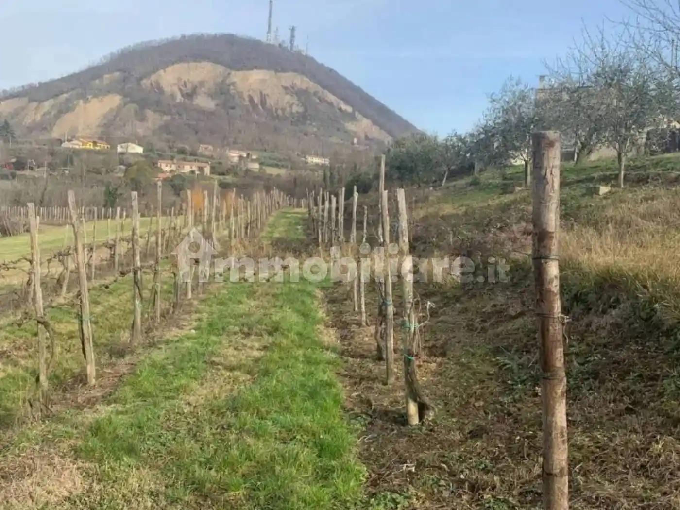 Terratetto unifamiliare via Isabella d'Este, Meggiaro Basso, Este - foto 4