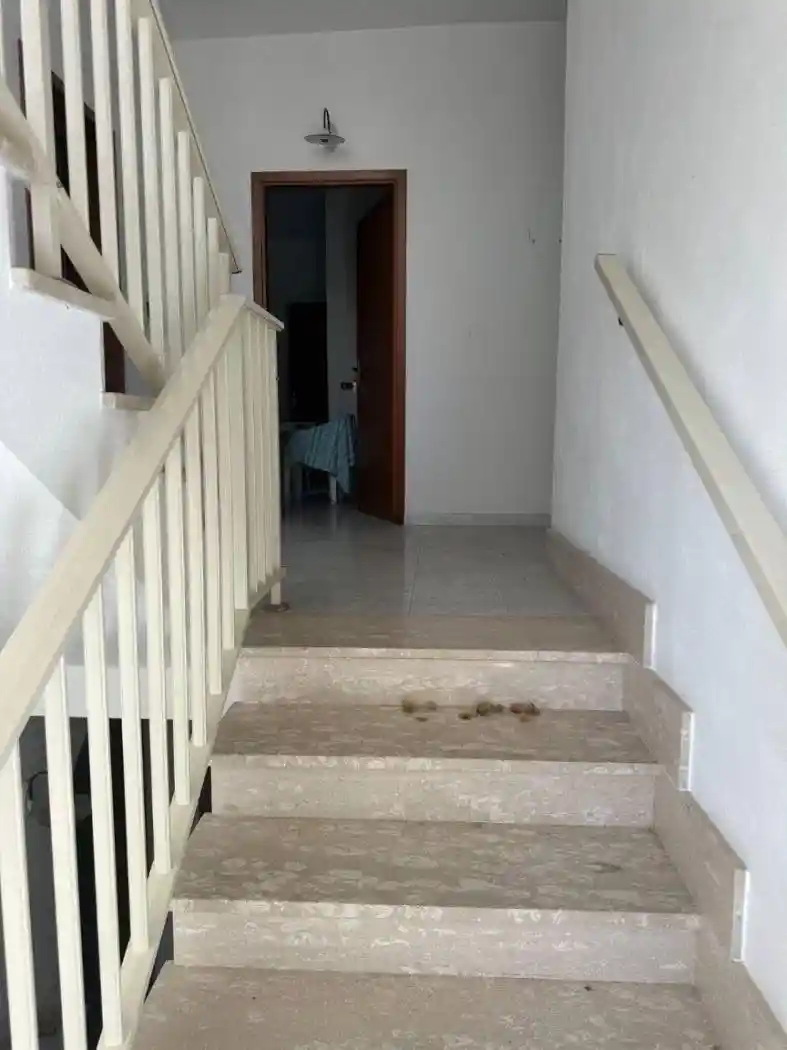 Terratetto unifamiliare Ss522, Centro, Briatico - foto 5