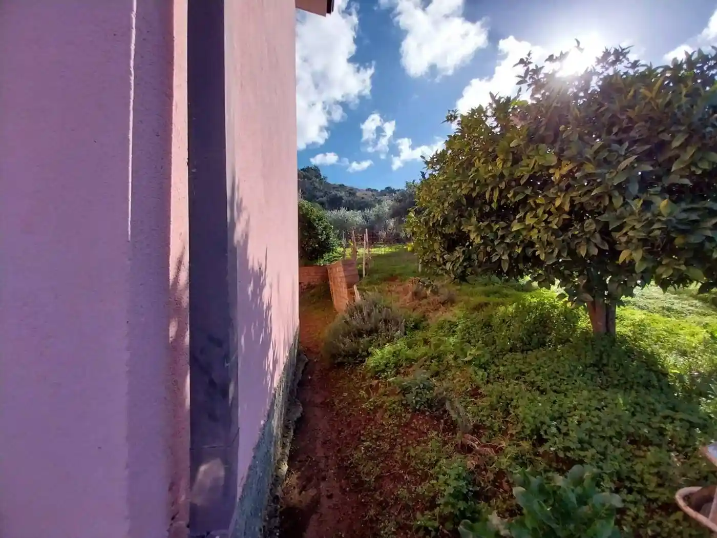 Palazzo - Edificio in Vendita - foto 5