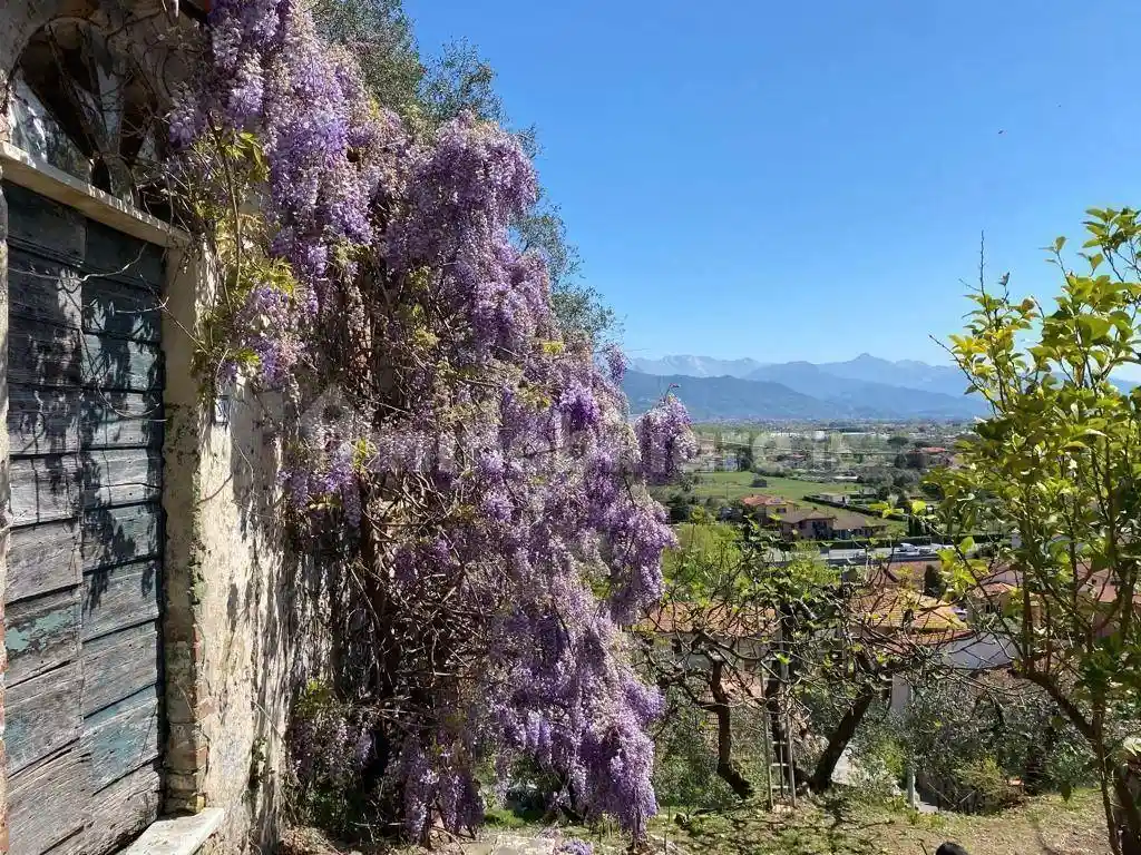 Rustico - Casale in vendita a Ameglia