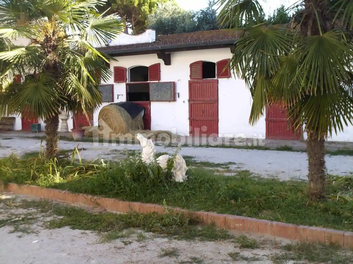 Bilocale viale delle Cascine,, Pietrasantina, Pisa - foto 3